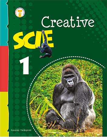 Future Kidz Creative Science Class I